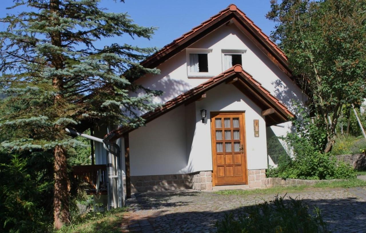 Ferienhaus Am Schleifenbach Saalfeld Saale Exterior foto